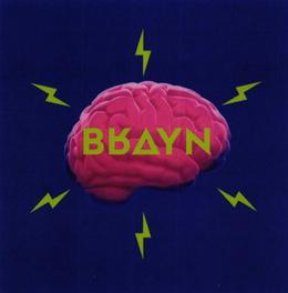 Mark drawing for BRAYN