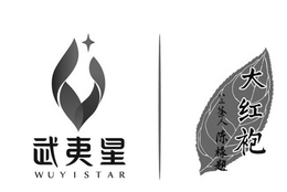Mark drawing for WUYISTAR