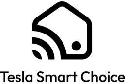 Mark drawing for TESLA SMART CHOICE