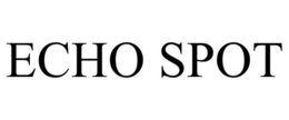 Mark drawing for ECHO SPOT