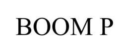 Mark drawing for BOOM P
