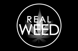 Mark drawing for REAL WEED