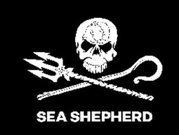 Mark drawing for SEA SHEPHERD
