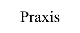 Mark drawing for PRAXIS