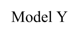 Mark drawing for MODEL Y