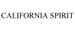 Mark drawing for CALIFORNIA SPIRIT