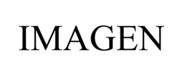 Mark drawing for IMAGEN
