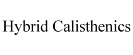 Mark drawing for HYBRID CALISTHENICS