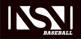 Mark drawing for NSN BASEBALL