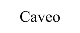 Mark drawing for CAVEO