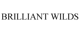 Mark drawing for BRILLIANT WILDS