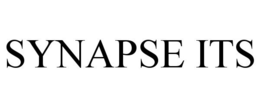 Mark drawing for SYNAPSE ITS