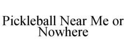 Mark drawing for PICKLEBALL NEAR ME OR NOWHERE
