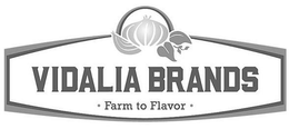 Mark drawing for VIDALIA BRANDS · FARM TO FLAVOR ·