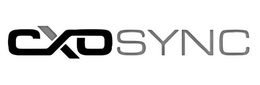 Mark drawing for CXOSYNC
