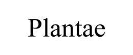 Mark drawing for PLANTAE