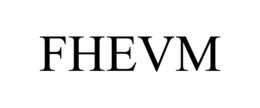Mark drawing for FHEVM