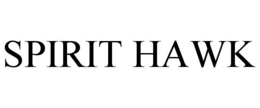 Mark drawing for SPIRIT HAWK
