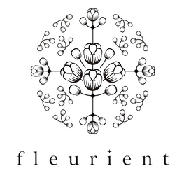 Mark drawing for FLEURIENT