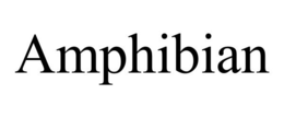 Mark drawing for AMPHIBIAN