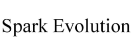 Mark drawing for SPARK EVOLUTION