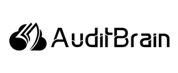 Mark drawing for AUDITBRAIN