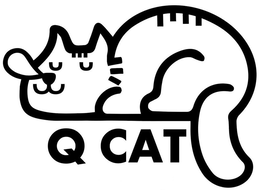 Mark drawing for Q CAT