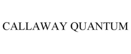 Mark drawing for CALLAWAY QUANTUM