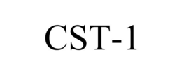 Mark drawing for CST-1