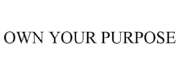 Mark drawing for OWN YOUR PURPOSE