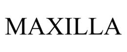 Mark drawing for MAXILLA