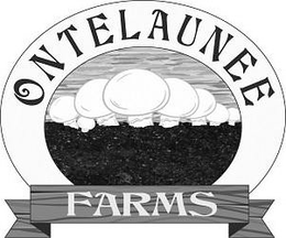 Mark drawing for ONTELAUNEE FARMS