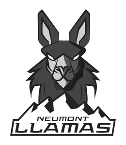 Mark drawing for NEUMONT LLAMAS