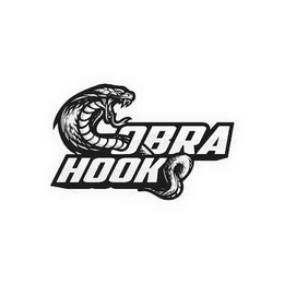 Mark drawing for COBRA HOOKS