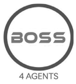 Mark drawing for BOSS 4 AGENTS