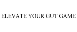 Mark drawing for ELEVATE YOUR GUT GAME
