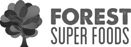Mark drawing for FOREST SUPER FOODS
