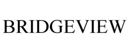 Mark drawing for BRIDGEVIEW