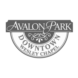Mark drawing for AVALON PARK DOWNTOWN WESLEY CHAPEL