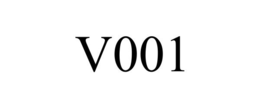 Mark drawing for V001