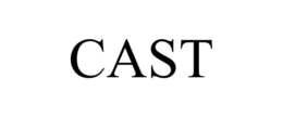 Mark drawing for CAST