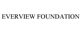 Mark drawing for EVERVIEW FOUNDATION