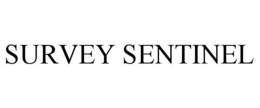 Mark drawing for SURVEY SENTINEL