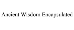 Mark drawing for ANCIENT WISDOM ENCAPSULATED