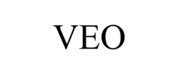 Mark drawing for VEO