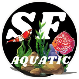 Mark drawing for SF AQUATIC