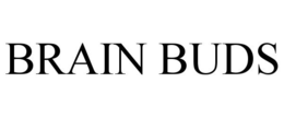 Mark drawing for BRAIN BUDS