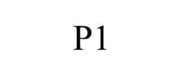 Mark drawing for P1