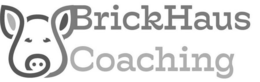 Mark drawing for BRICKHAUS COACHING