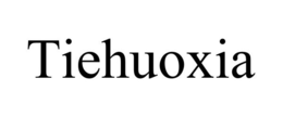 Mark drawing for TIEHUOXIA